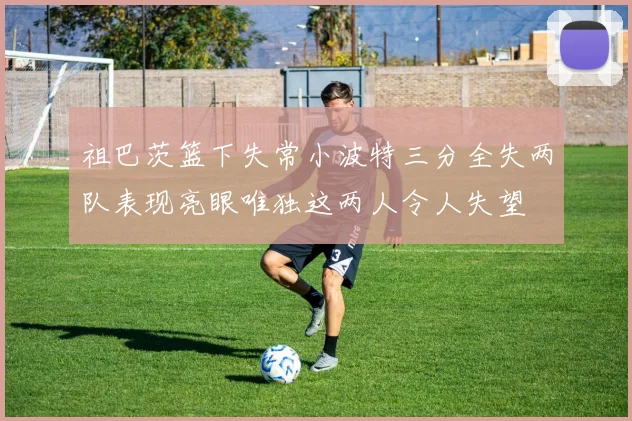 祖巴茨篮下失常小波特三分全失两队表现亮眼唯独这两人令人失望
